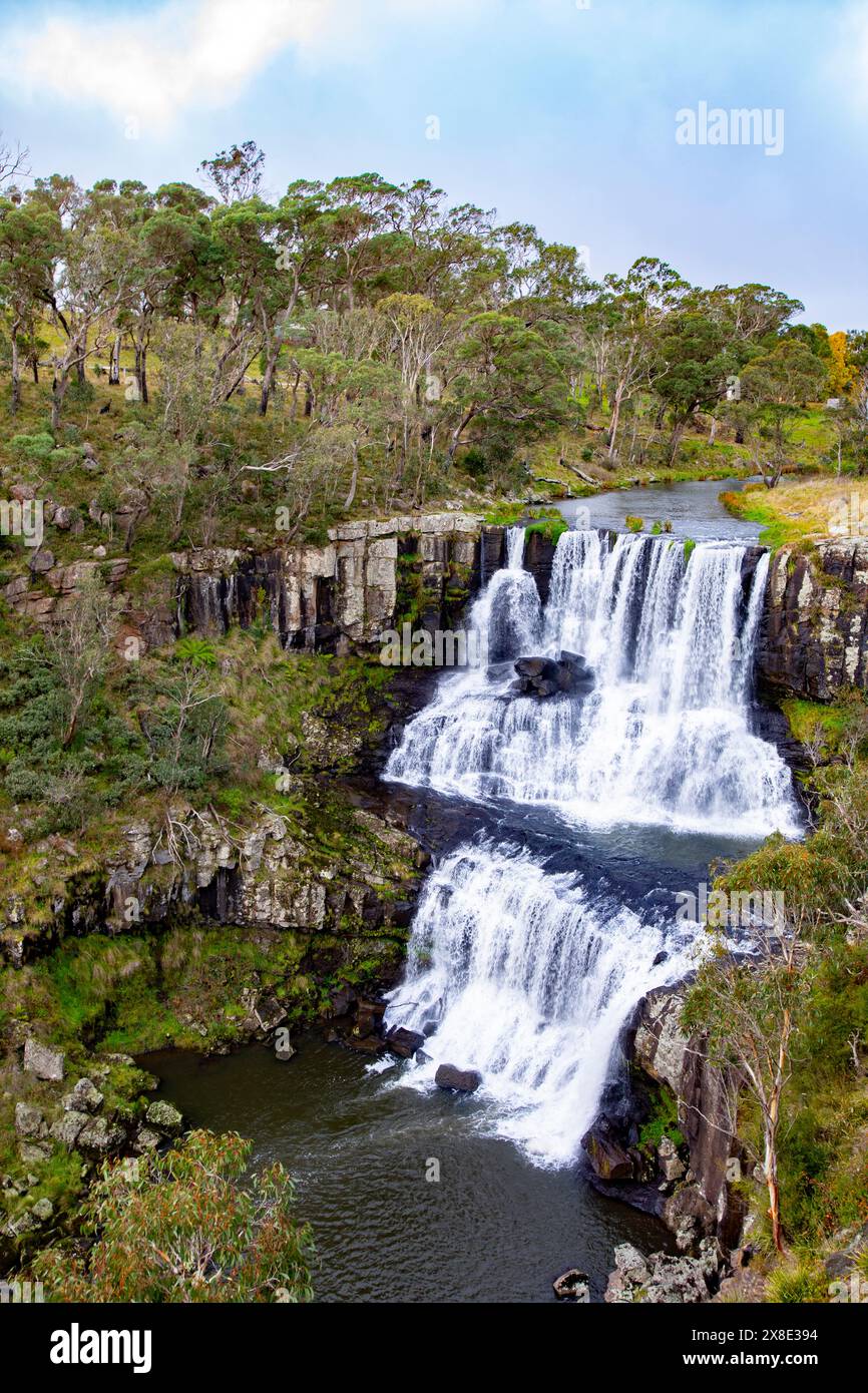 Chute d'eau Ebor Falls dans le parc national Guy Fawkes sur la Waterfall Way dans la région de Nouvelle-Angleterre de Nouvelle-Galles du Sud, Australie, automne 2024 Banque D'Images