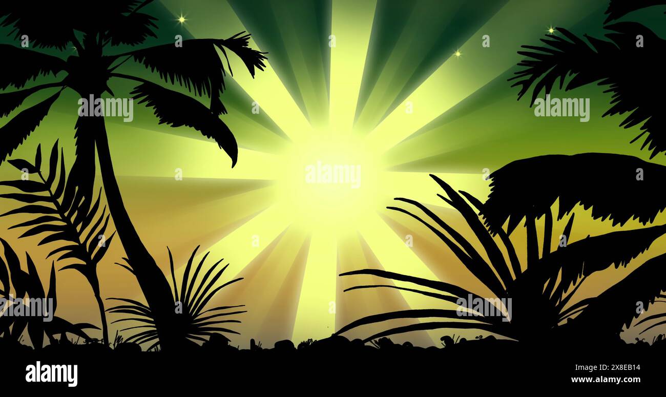 La lumière du soleil éclatant à travers la silhouette des plantes tropicales crée une scène vibrante Banque D'Images
