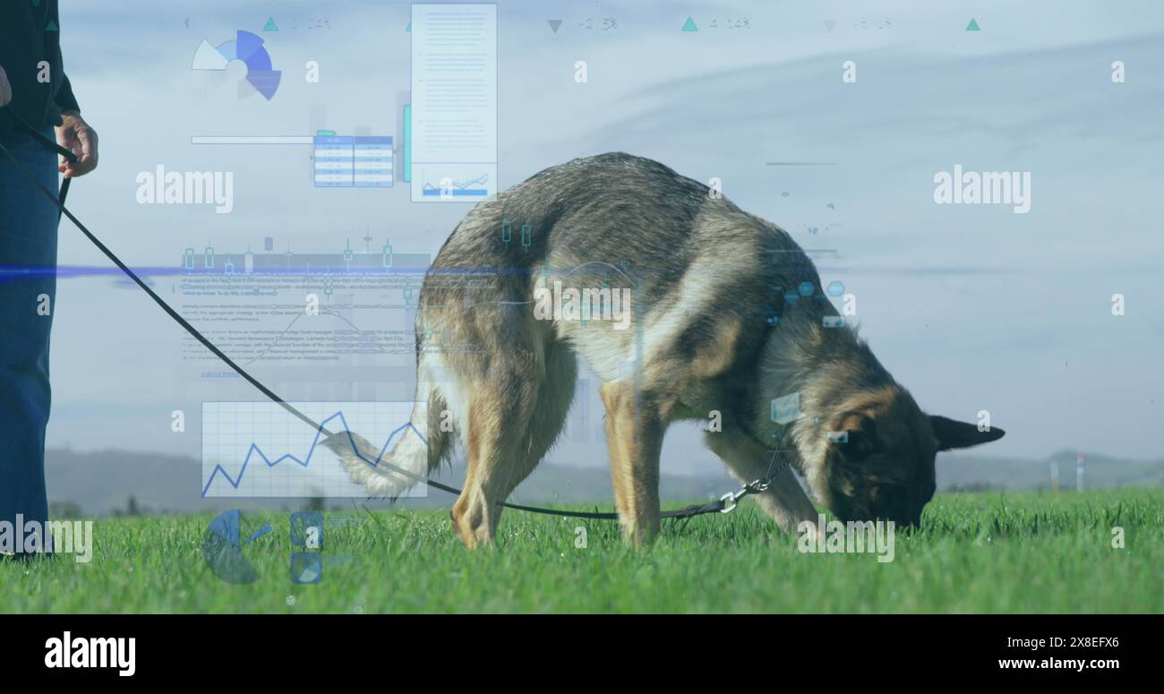 Image du traitement des données financières sur l'homme caucasien avec chien dans l'herbe Banque D'Images