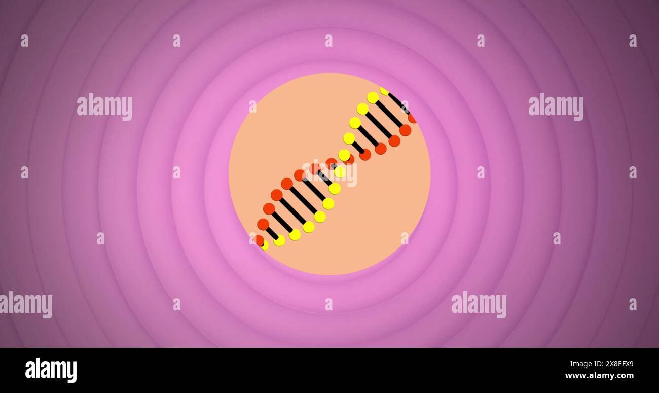 Image d'une structure d'adn en rotation sur des cercles concentriques sur fond violet Banque D'Images