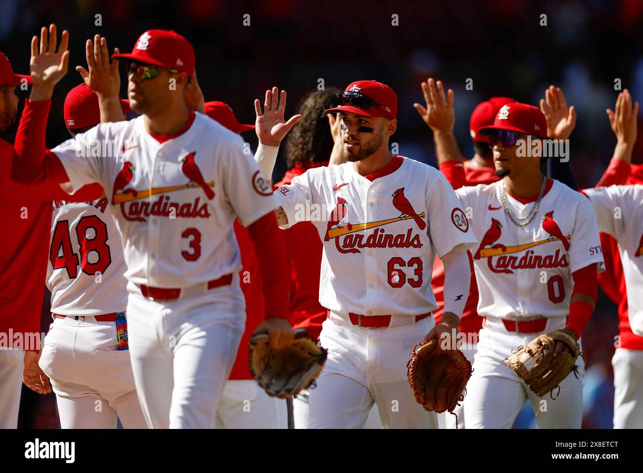 Les membres des Louis Cardinals célèbrent une victoire par équipe sur les Orioles de Baltimore au Busch Stadium le 22 mai 2024, à Saint Louis, Missouri. (Photo de Brandon Sloter/image du sport) Banque D'Images