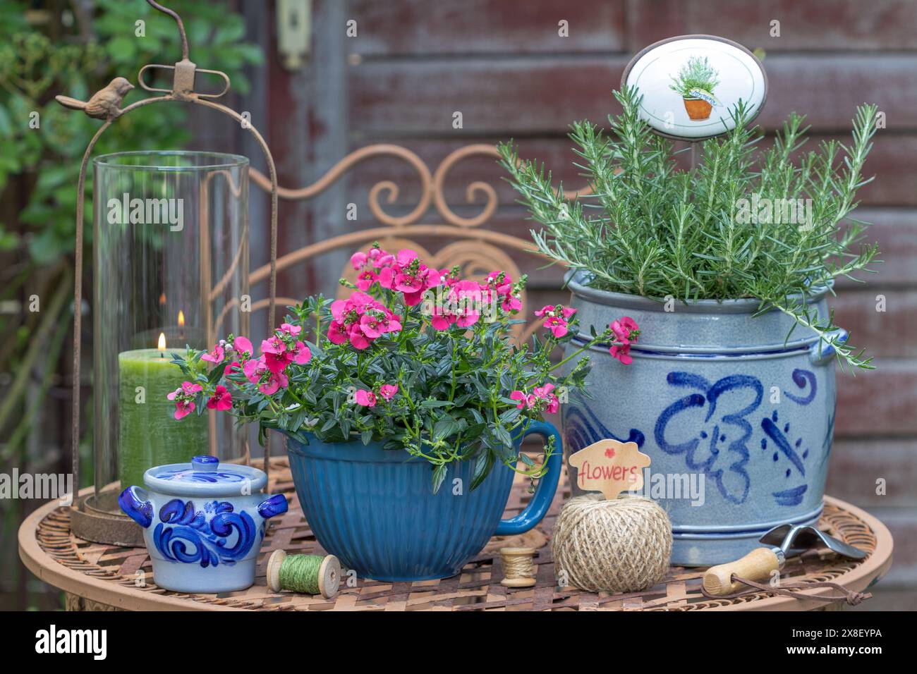 disposition de jardin avec une plante rouge némésia et romarin dans des pots rustiques Banque D'Images
