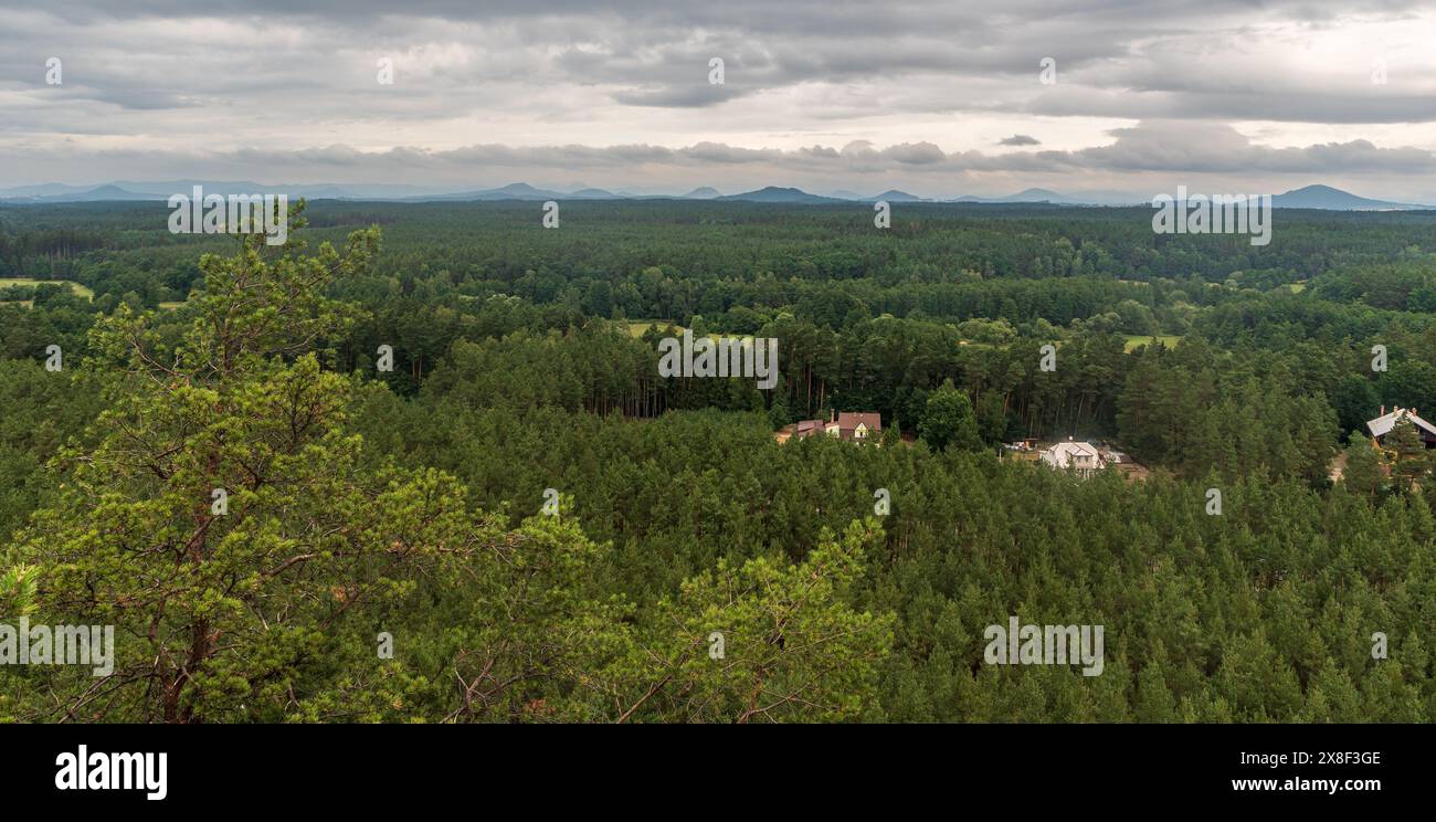 Vue depuis le point de vue de Hradcanska vyjlidka au-dessus du lac Machovo jezero en république tchèque pendant la journée nuageuse d'été Banque D'Images