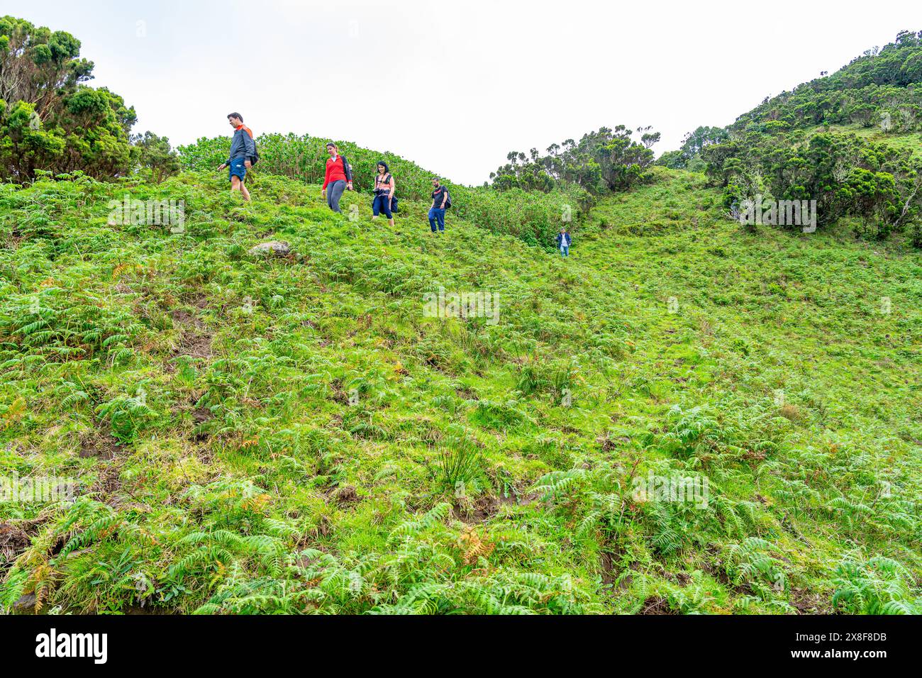 Marcheurs se dirigeant vers Fajãs de Santo Cristo sur le sentier PR1. São Jorge Island-Açores-Portugal.5-5-2024 Banque D'Images