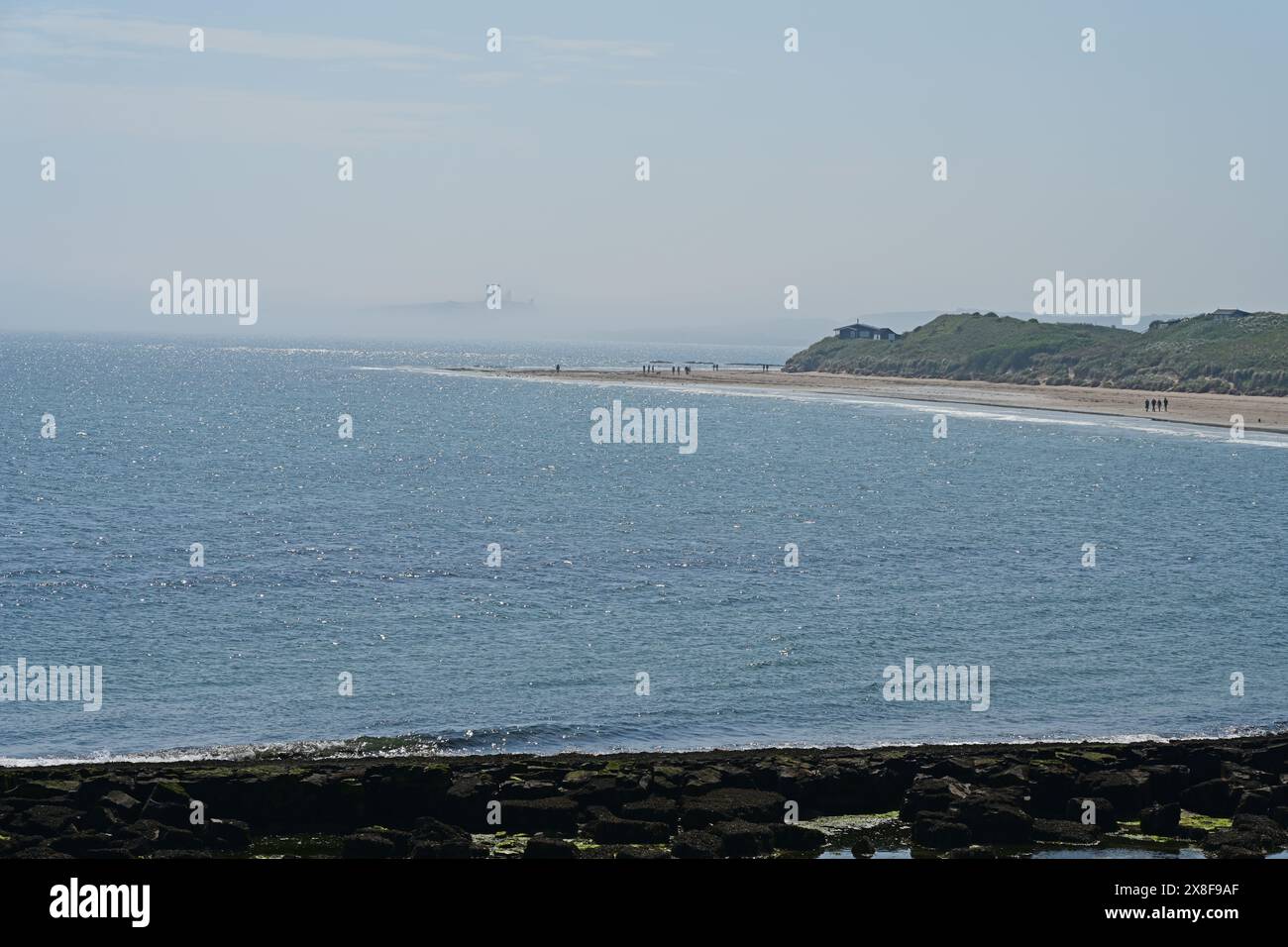 Les gens sur la plage, Newton Haven, Low Newton au bord de la mer, Northumberland Banque D'Images