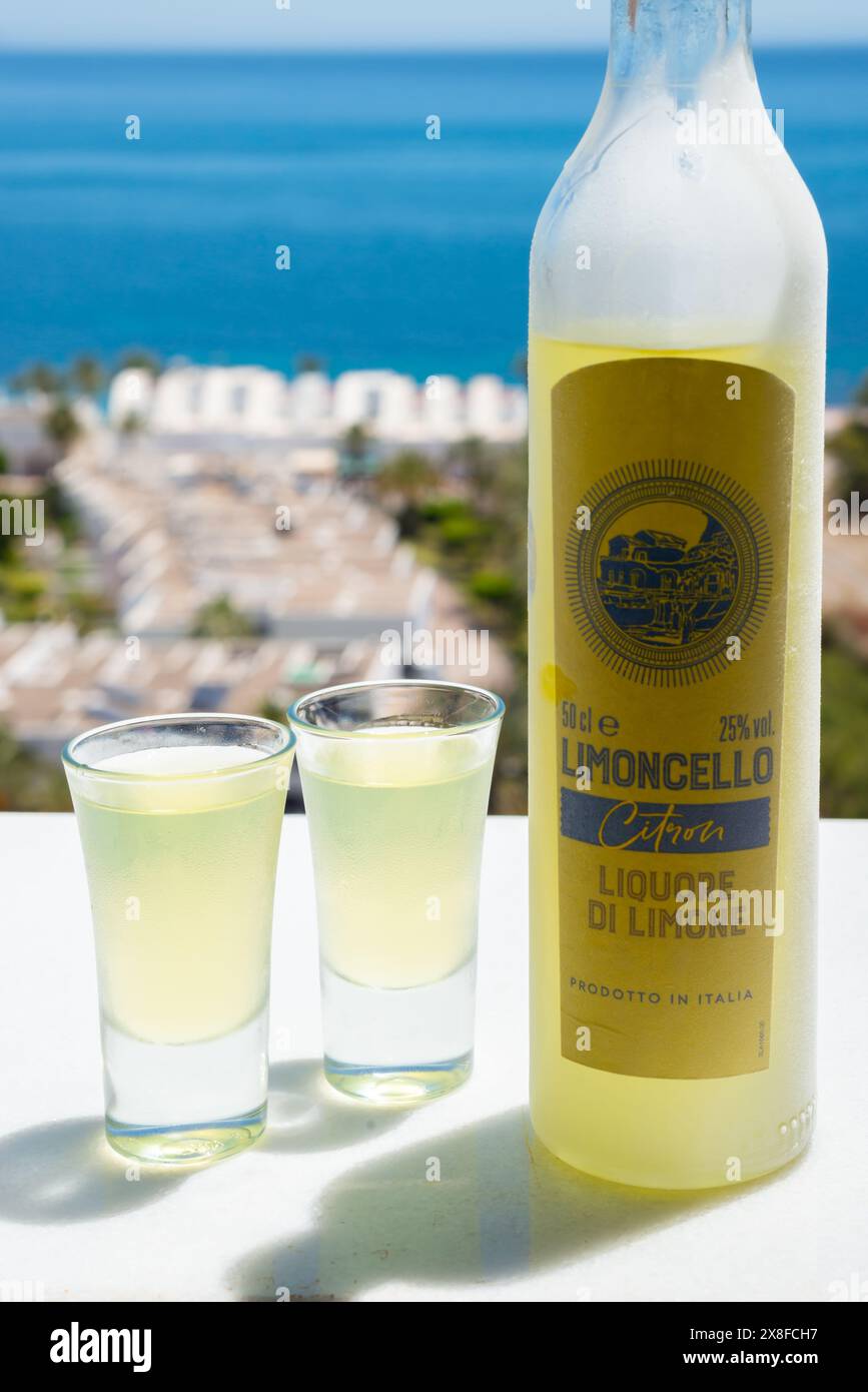 Service à Limoncello Deruta 6 Verres Céramique Citron + Seau Inox - Très Bon état
