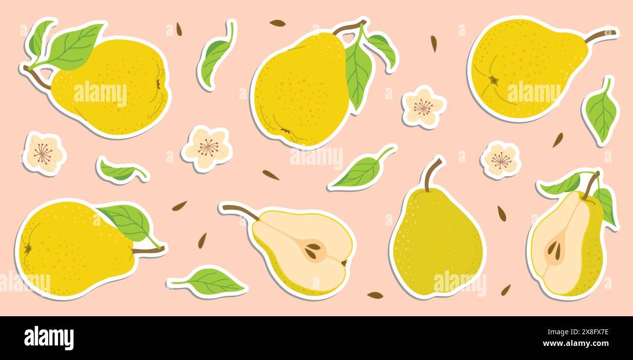 Ensemble d'autocollants de poire colorés dessinés à la main, fruits entiers et coupés, fleurs, feuilles. Stickers de style plat tendance pour étiquettes, affiches, web. Poires juteuses mûres. Nourriture biologique végétarienne. Illustration vectorielle Illustration de Vecteur