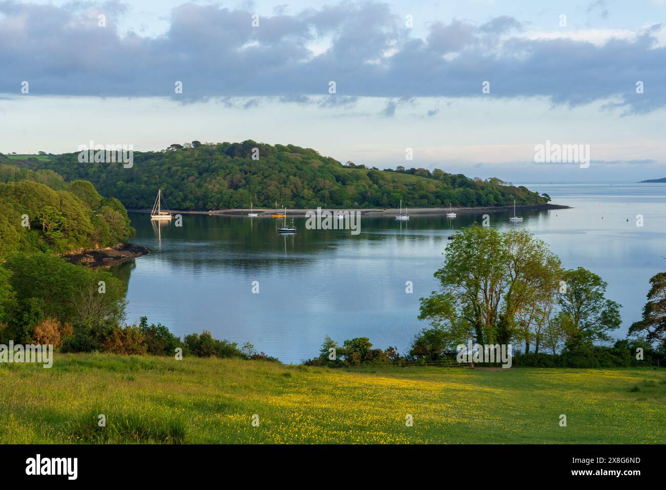 Vue de l'estuaire de FAL depuis Trelissick Garden, Feock, Cornouailles Banque D'Images