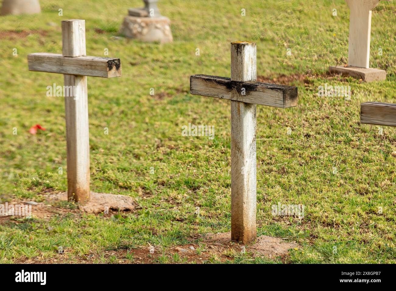 Croix en bois sereines dans un cimetière historique Banque D'Images