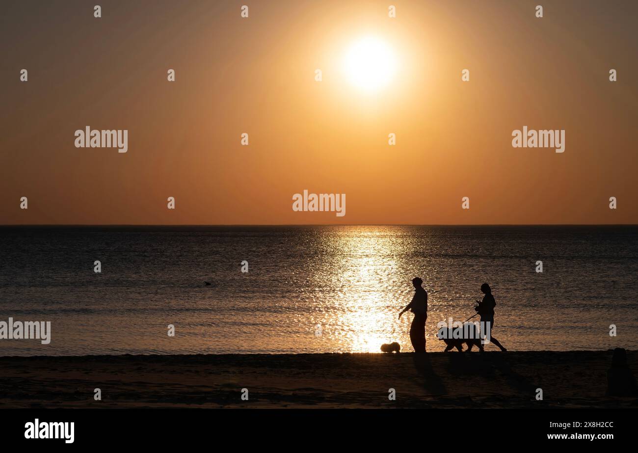 Personne promenant un chien au coucher du soleil le long de la plage. Relax, santé mentale Banque D'Images