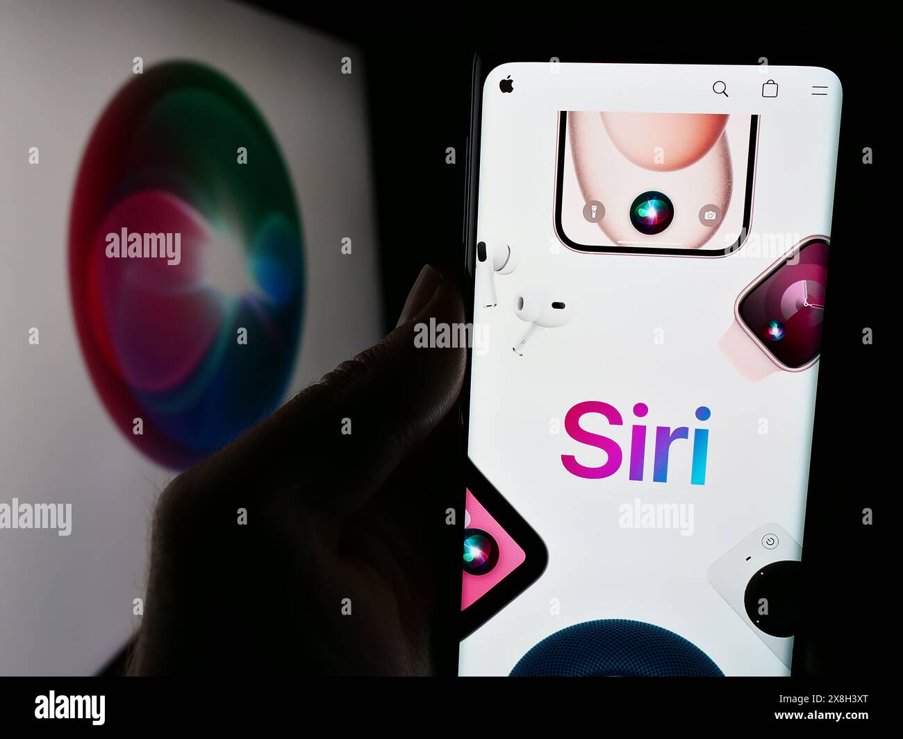 Personne tenant un smartphone avec le site Web du logiciel assistant numérique Siri (Apple Inc) devant le logo. Concentrez-vous sur le centre de l'écran du téléphone. Banque D'Images