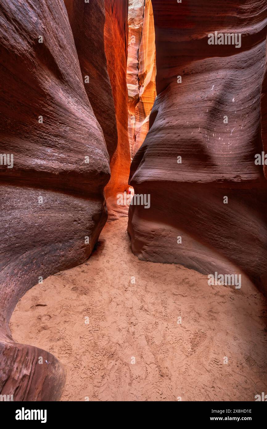 Image dramatique d'un canyon à fentes en Arizona appelé Antelope Canyon où un mélange d'eau de pluie, de sédiments et d'inondations soudaines érodent les fentes au-dessus de milli Banque D'Images