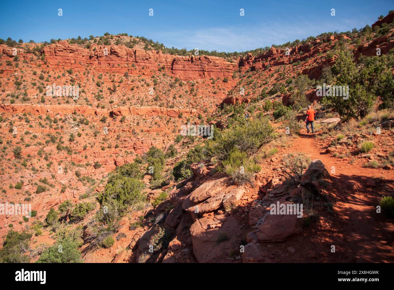 Il y a beaucoup de grands sentiers de randonnée autour de Kanab dans le comté de Kane, UT, États-Unis. Banque D'Images