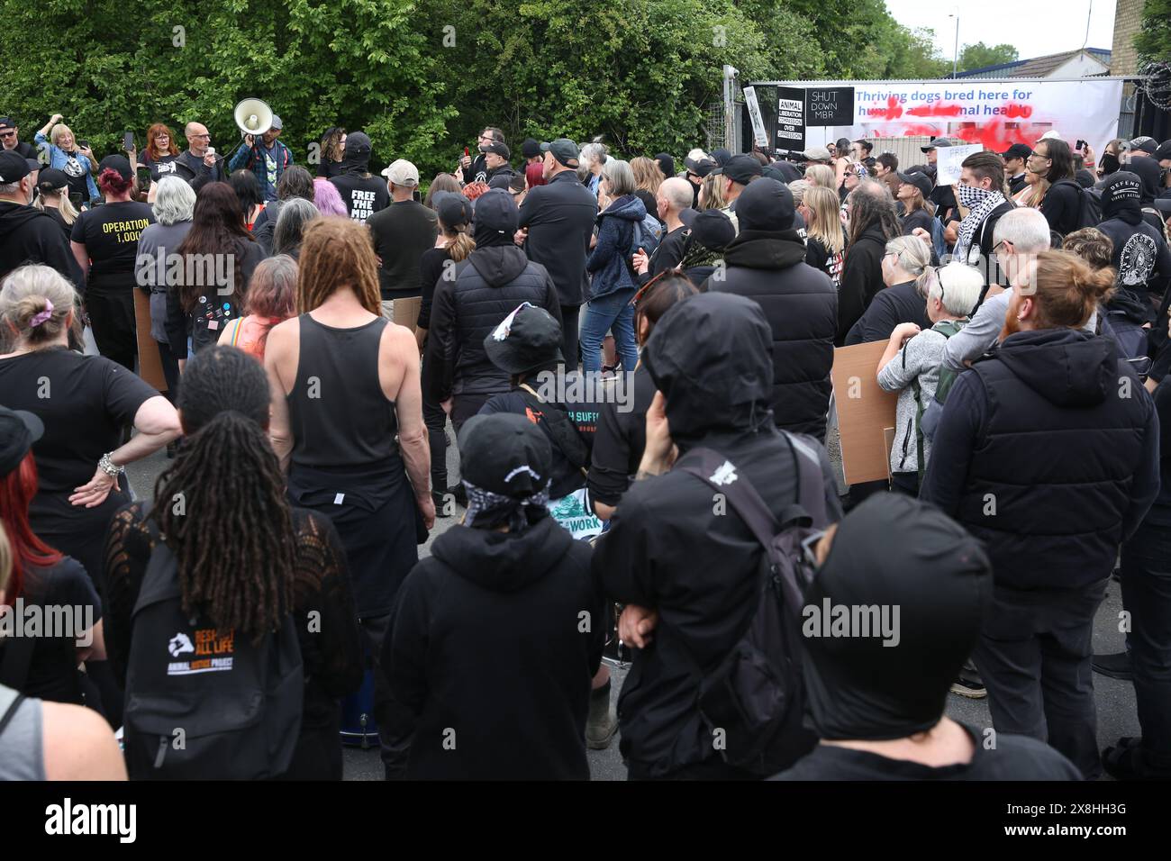 Huntingdon, Angleterre, Royaume-Uni. 25 mai 2024. MEL BROUGHTON, un vétéran manifestant en faveur des droits des animaux, s'adresse aux personnes rassemblées à la porte principale pendant la manifestation. Les manifestants exigent que la compagnie américaine, Marshal Bioresources (MBR) acres, une ferme d'élevage de beagle, qui fournit des chiots pour les laboratoires d'essais sur animaux ferme. Il y a près de trois ans, les manifestants ont mis en place le ''˜Camp Beagle'', un camp de protestation pour faire pression sur MBR, juste devant l'élevage de chiots. Crédit : ZUMA Press, Inc/Alamy Live News Banque D'Images