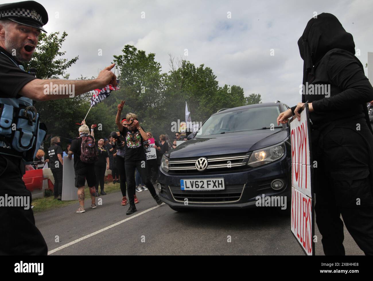 Huntingdon, Angleterre, Royaume-Uni. 25 mai 2024. Un policier dégage la route pour laisser passer les véhicules piégés pendant la manifestation. Les manifestants exigent que la compagnie américaine, Marshal Bioresources (MBR) acres, une ferme d'élevage de beagle, qui fournit des chiots pour les laboratoires d'essais sur animaux ferme. Il y a près de trois ans, les manifestants ont mis en place le ''˜Camp Beagle'', un camp de protestation pour faire pression sur MBR, juste devant l'élevage de chiots. Crédit : ZUMA Press, Inc/Alamy Live News Banque D'Images