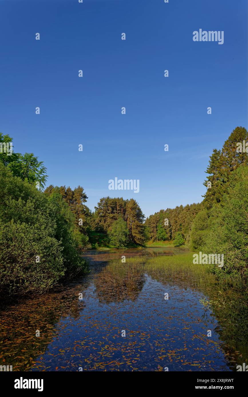 Réflexions sur la surface de l'eau du Loch Auchnacree haut dans l'Angus Glens sur un matin d'étés lumineux sous un ciel bleu clair. Banque D'Images