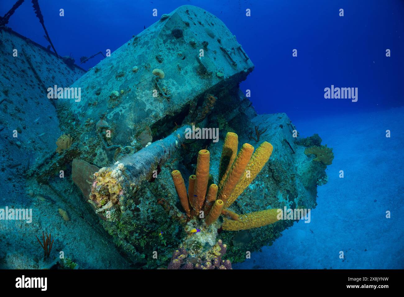 Stern fusils de l'épave de la frégate russe Captain Keith Tibbetts à Cayman Brac. Ce qui était autrefois une arme abrite maintenant des poissons de récif Banque D'Images