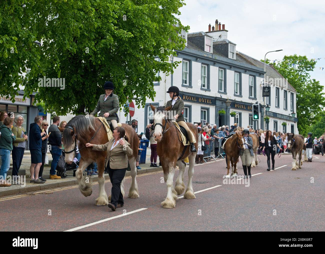 Chevaux Clydesdale. Penicuik sur Parade. High Street, Penicuik, Midlothian, Écosse Banque D'Images