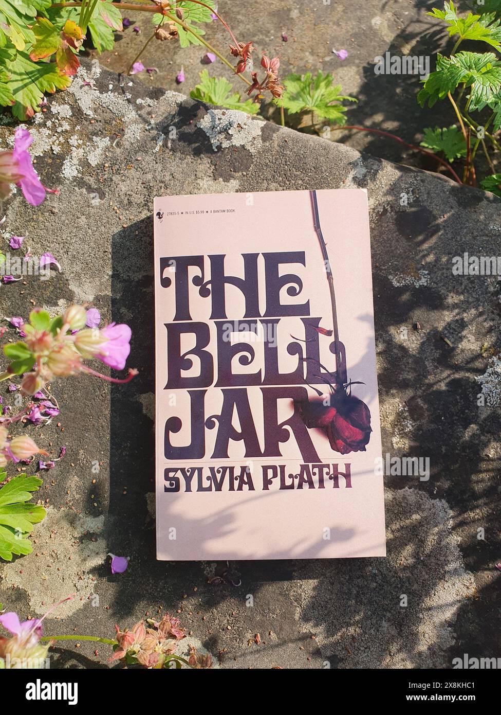 Le roman Bell Jar de Sylvia Plath Livre dans un paysage de jardin Banque D'Images