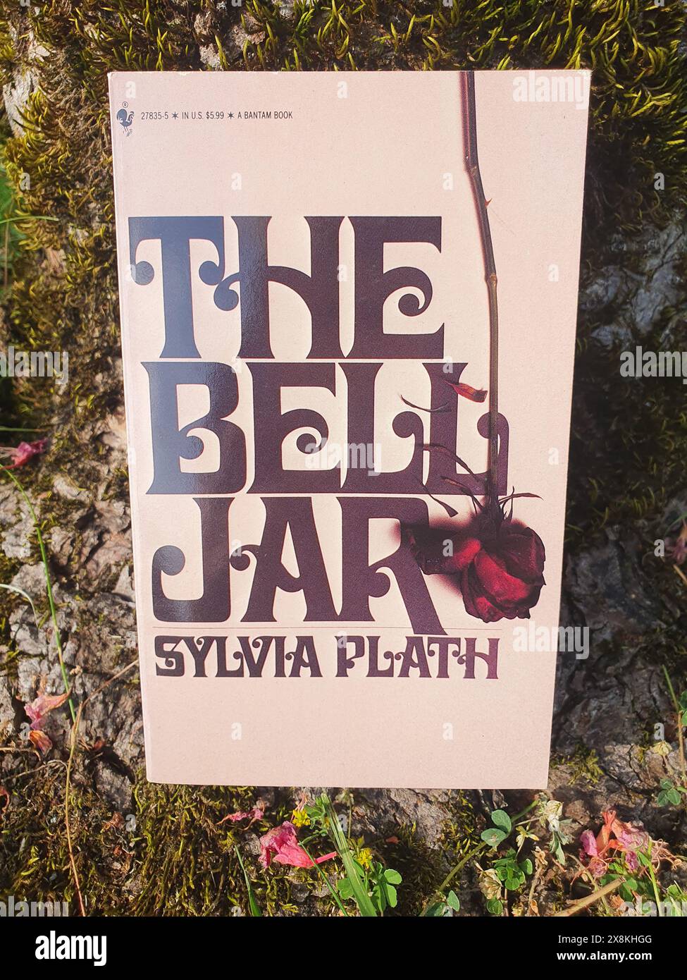Le roman Bell Jar de Sylvia Plath Livre dans un paysage de jardin Banque D'Images