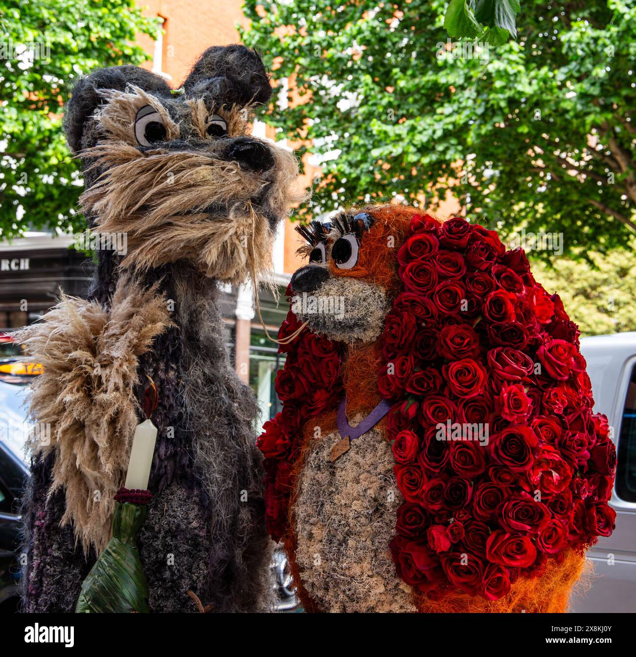 La Dame et le Tramp fleurissent Chelsea en fleur 2024 Sloane Street London Banque D'Images