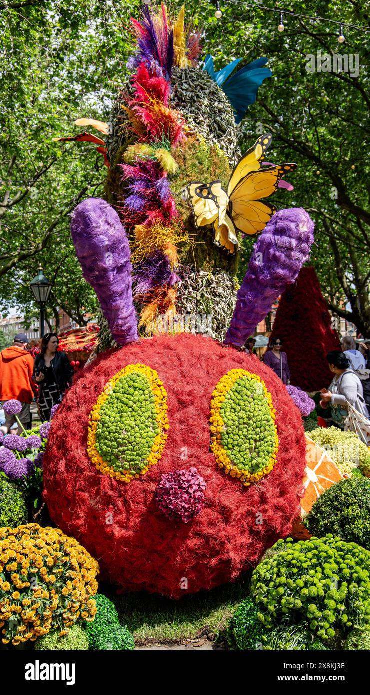 Affichage floral coloré de la chenille affamée à Chelsea en fleur 2024 Banque D'Images