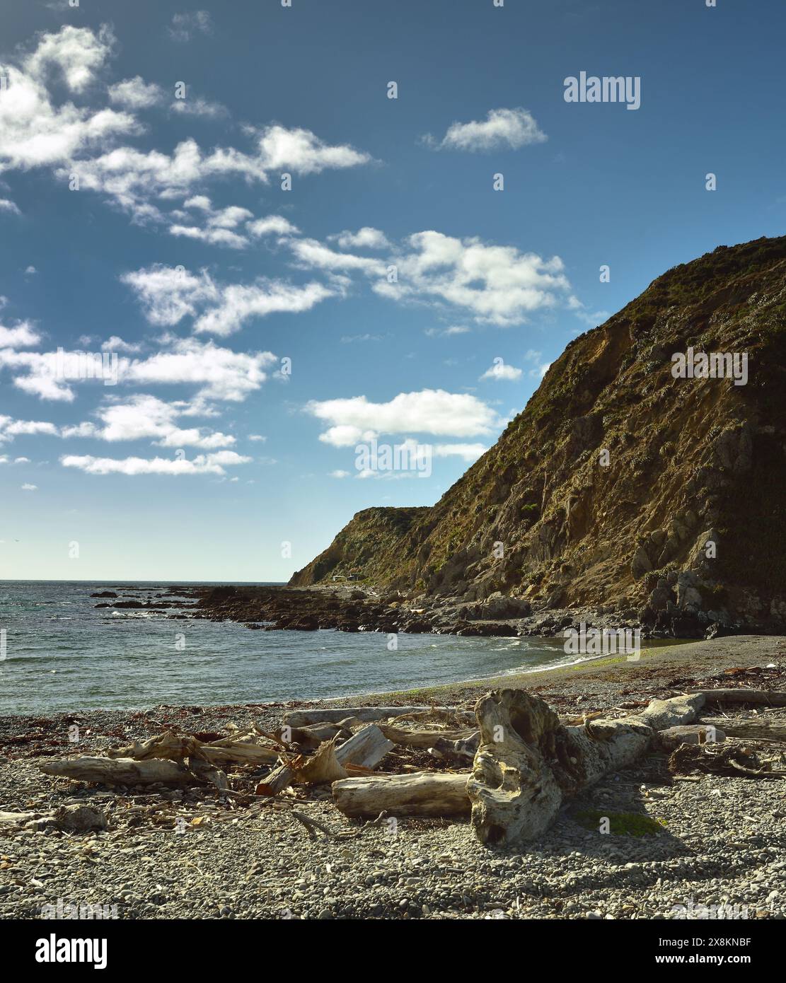 Baches néo-zélandais sur le rivage Banque D'Images