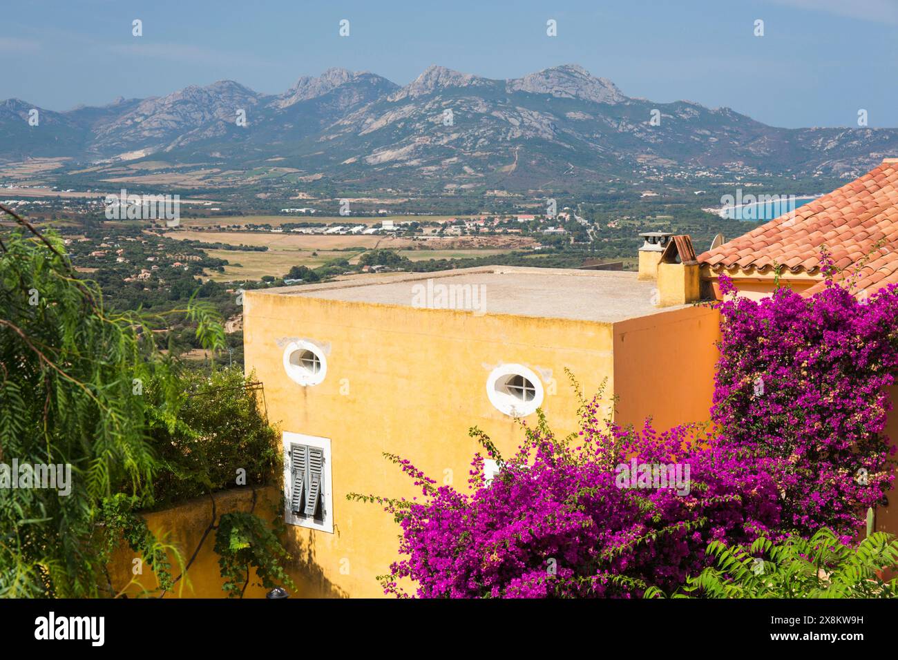 Lumio, haute-Corse, Corse, France. Maison de village colorée ornée de bougainvilliers, plaine côtière derrière le golfe de Calvi au-delà. Banque D'Images