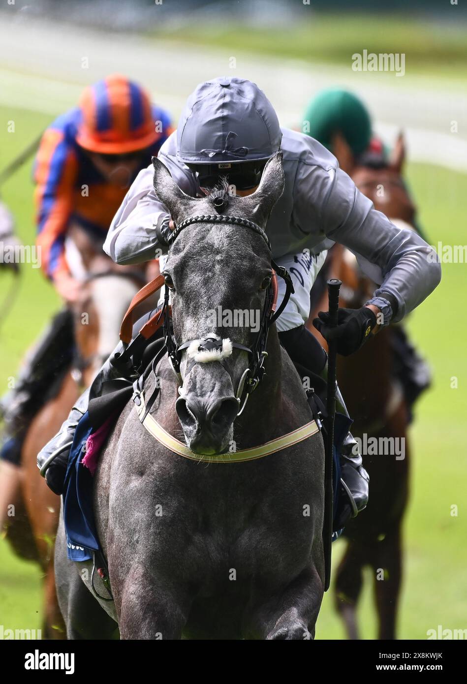 Fallen Angel et Danny Tudhope remportant le Tattersalls Irish 1000 Guineas lors du Tattersalls Irish Guineas Festival Day 3 à Curragh Racecourse, comté de Kildare. Date de la photo : dimanche 26 mai 2024. Banque D'Images