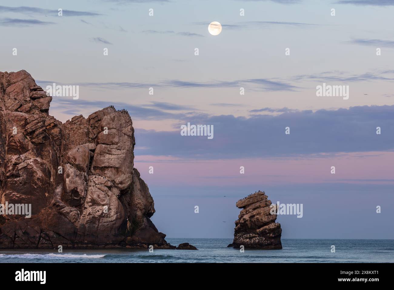 Morro Rock à l'aube, Morro Bay, Californie. Pleine lune dans le ciel coloré avec des stries de nuages. Roche plus petite couverte d'oiseaux de mer. Banque D'Images