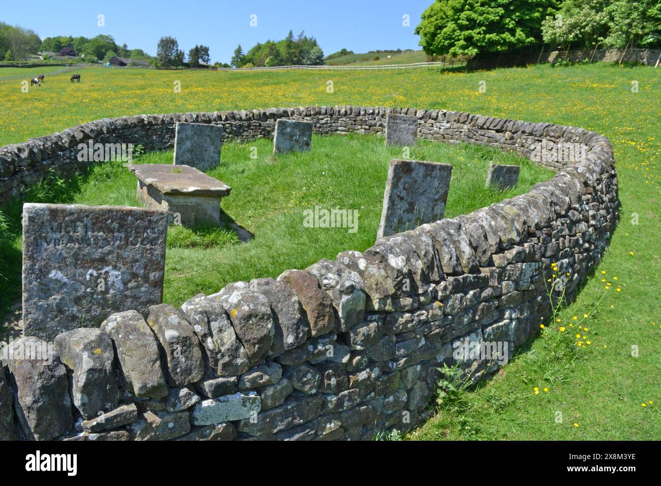 Riley graves, Eyam, Derbyshire. Les tombes de toute la famille Hancock, morte de la peste en 1666, ont toutes été mises en quarantaine à l'extérieur du village. Banque D'Images