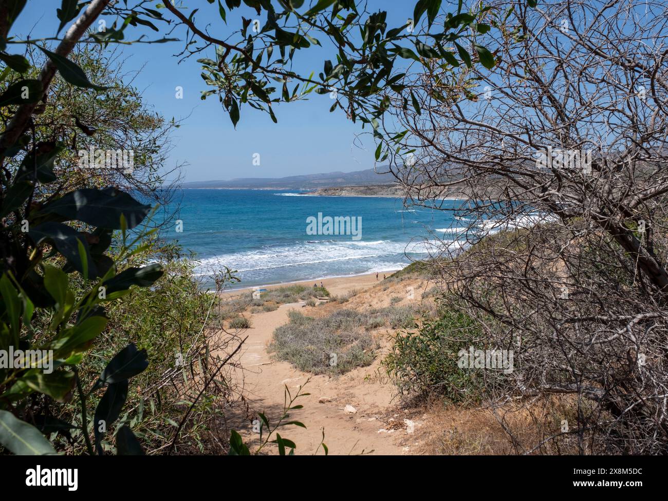 Plage de la baie de Lara, péninsule d'Akamas, région de Paphos, République de Chypre Banque D'Images