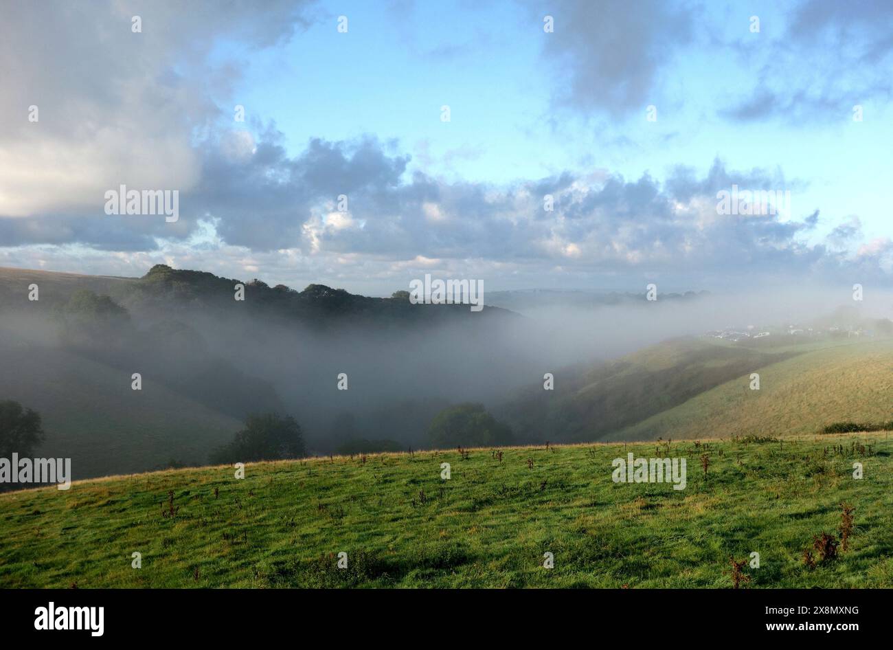 Une photographie de la vallée brumeuse près de Looe Cornwall Angleterre Banque D'Images