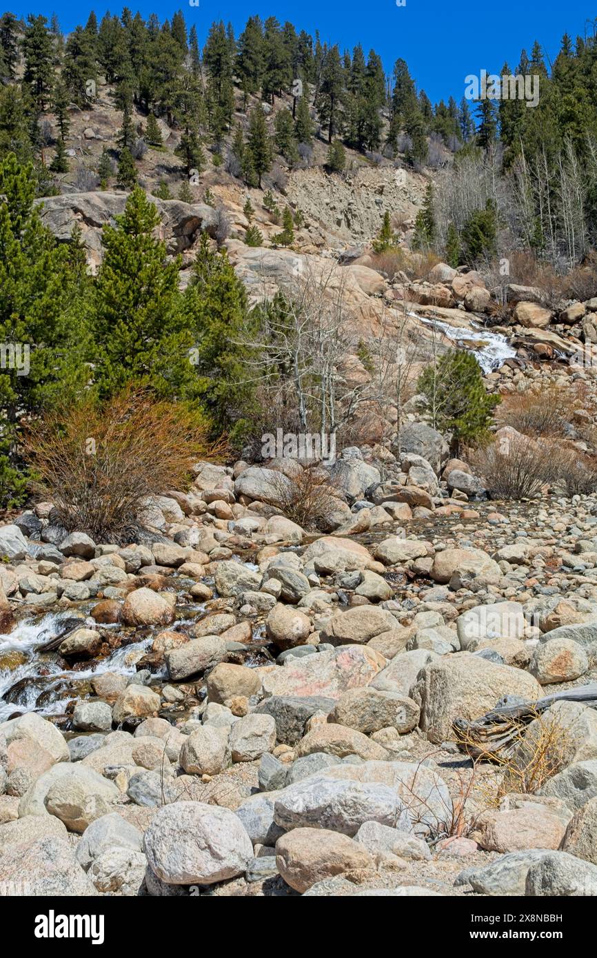 Chemin sinueux de la rivière Roaring à travers un éventail alluvial de rochers dans le parc national des montagnes Rocheuses Banque D'Images