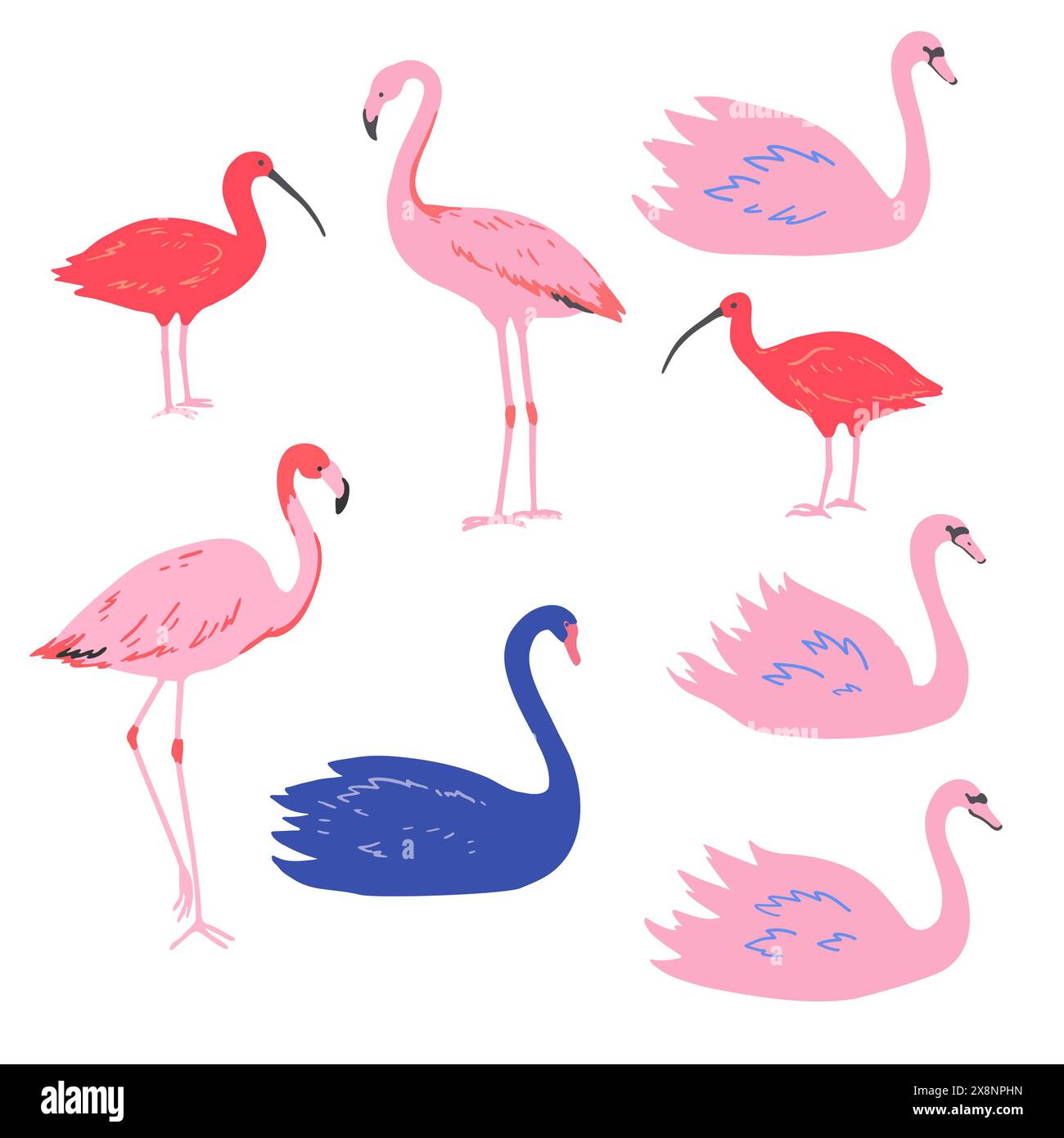 Ensemble rose flamant rose et cygnes et ibis rouge dans un style minimaliste. Illustration vectorielle. Illustration de Vecteur