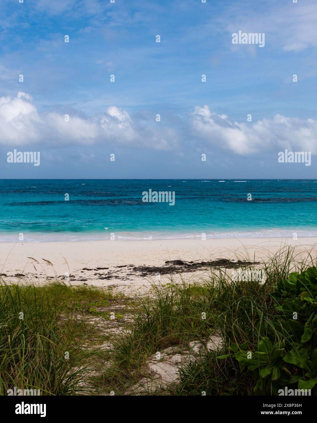 Plage de sable blanc vide mène aux eaux Azur dans les Bahamas. Banque D'Images