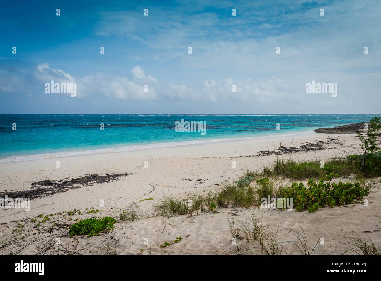 Plage de sable blanc vide mène aux eaux Azur dans les Bahamas. Banque D'Images