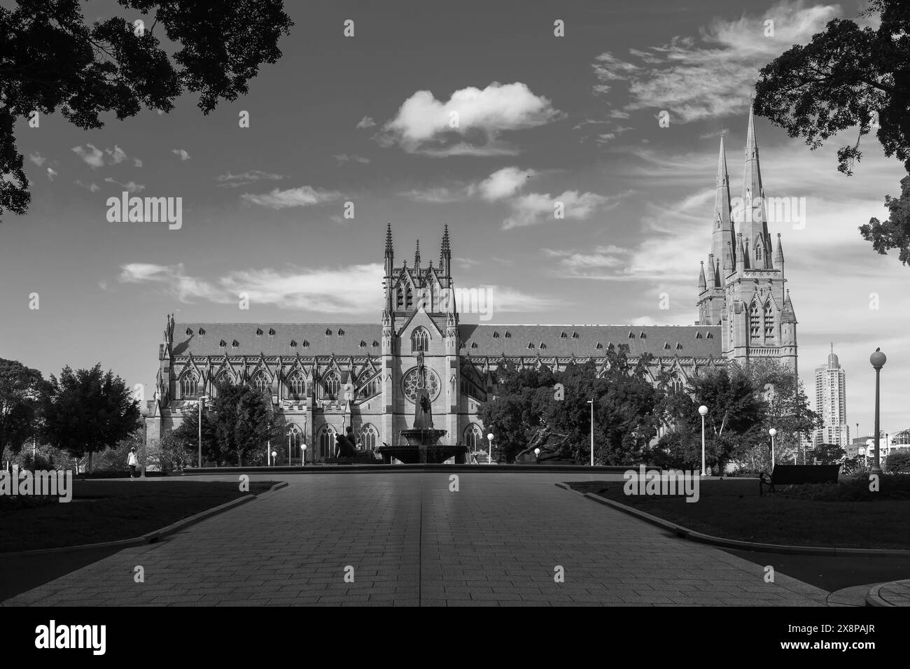 Cathédrale Sainte-Marie vue depuis Hyde Park, Sydney, Australie, pendant la pandémie de COVID-19. Photo en noir et blanc. Banque D'Images