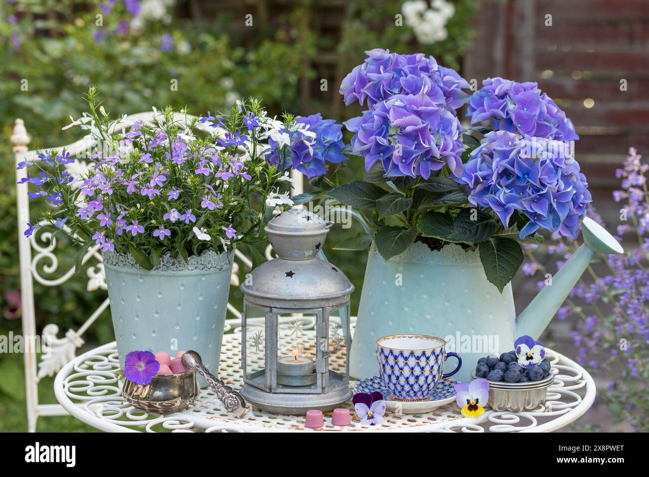 arrangement de table avec des bleuets frais, des bonbons, une tasse en porcelaine, hortensia bleue et lobelia en pot Banque D'Images