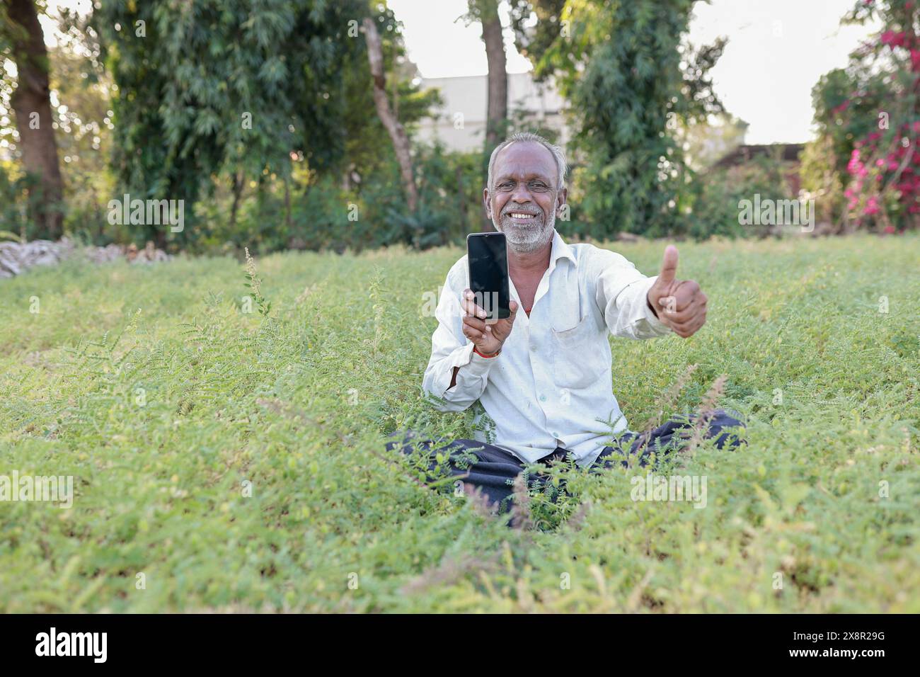 Élevage de pois chiches indiens, fermier indien heureux tenant le téléphone portable dans les mains, pauvre fermier heureux Banque D'Images