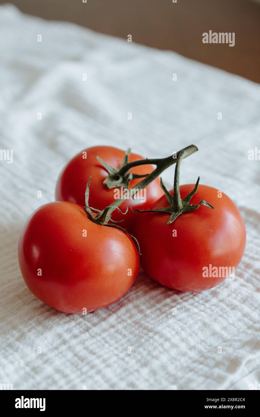 Trois tomates mûres sur vigne, tissu texturé blanc Banque D'Images
