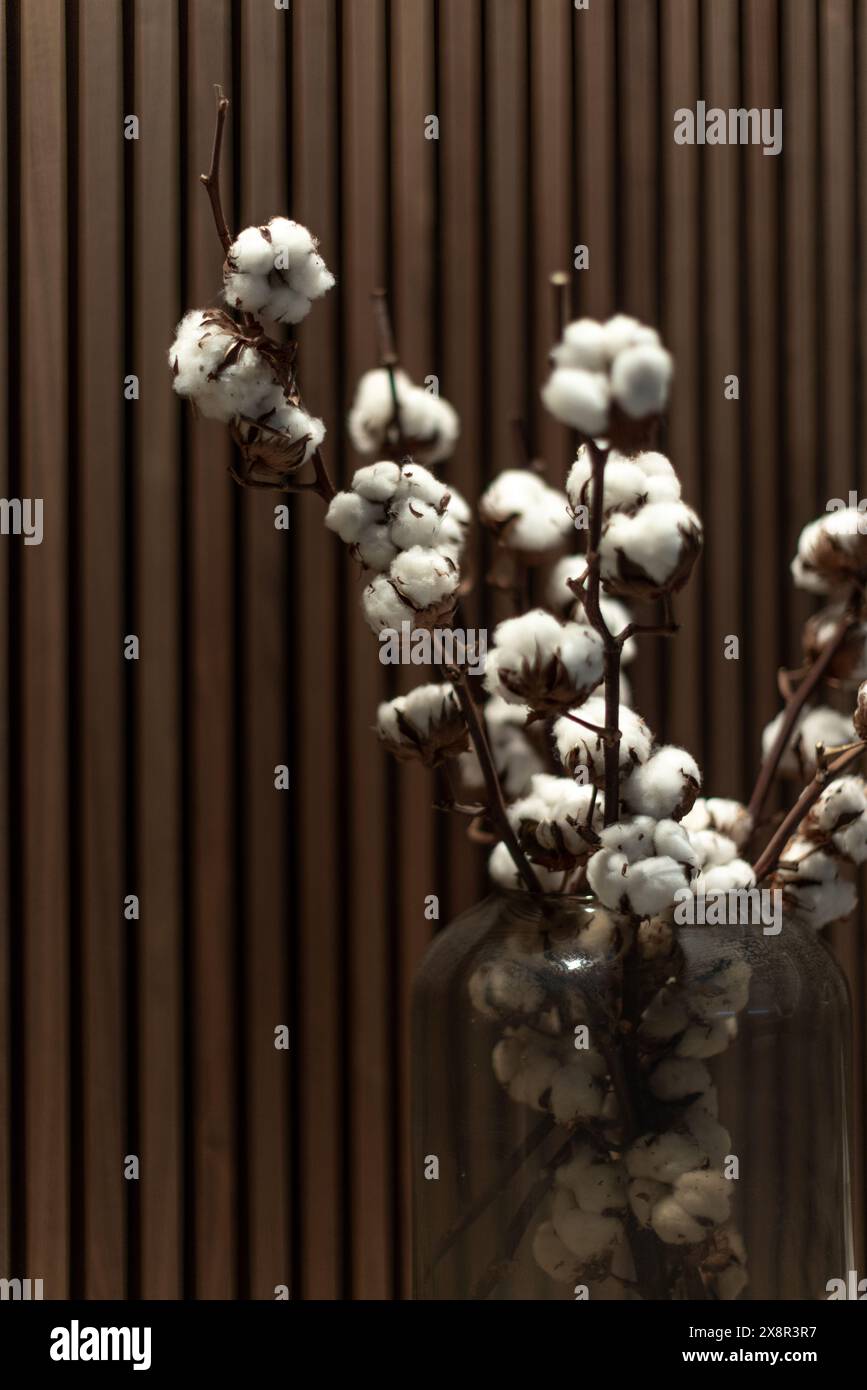 Branches de coton dans un vase en verre sur un fond en bois Banque D'Images