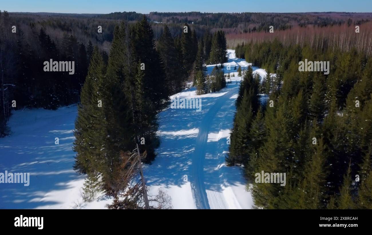 Journée ensoleillée dans la forêt d'hiver. Agrafe. Vue aérienne d'une longue route sur un sol enneigé parmi les arbres verts. Banque D'Images