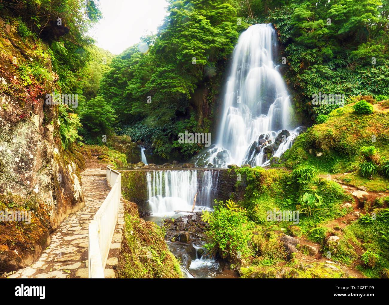 Cascade au jardin botanique de Ribeira do Guilherme, île de Sao Miguel, archipel des Açores. Beauté du concept de la nature. Banque D'Images