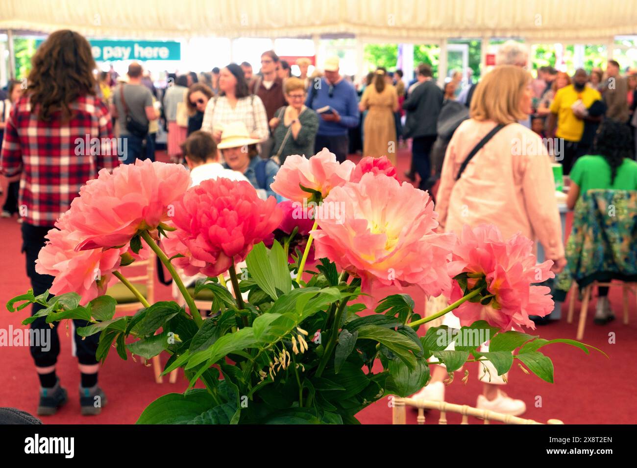 Pivoines roses fleurs coupées en fleur à l'intérieur de la librairie et foule de visiteurs les gens achetant des livres au festival Hay 2024 UK KATHY DEWITT Banque D'Images