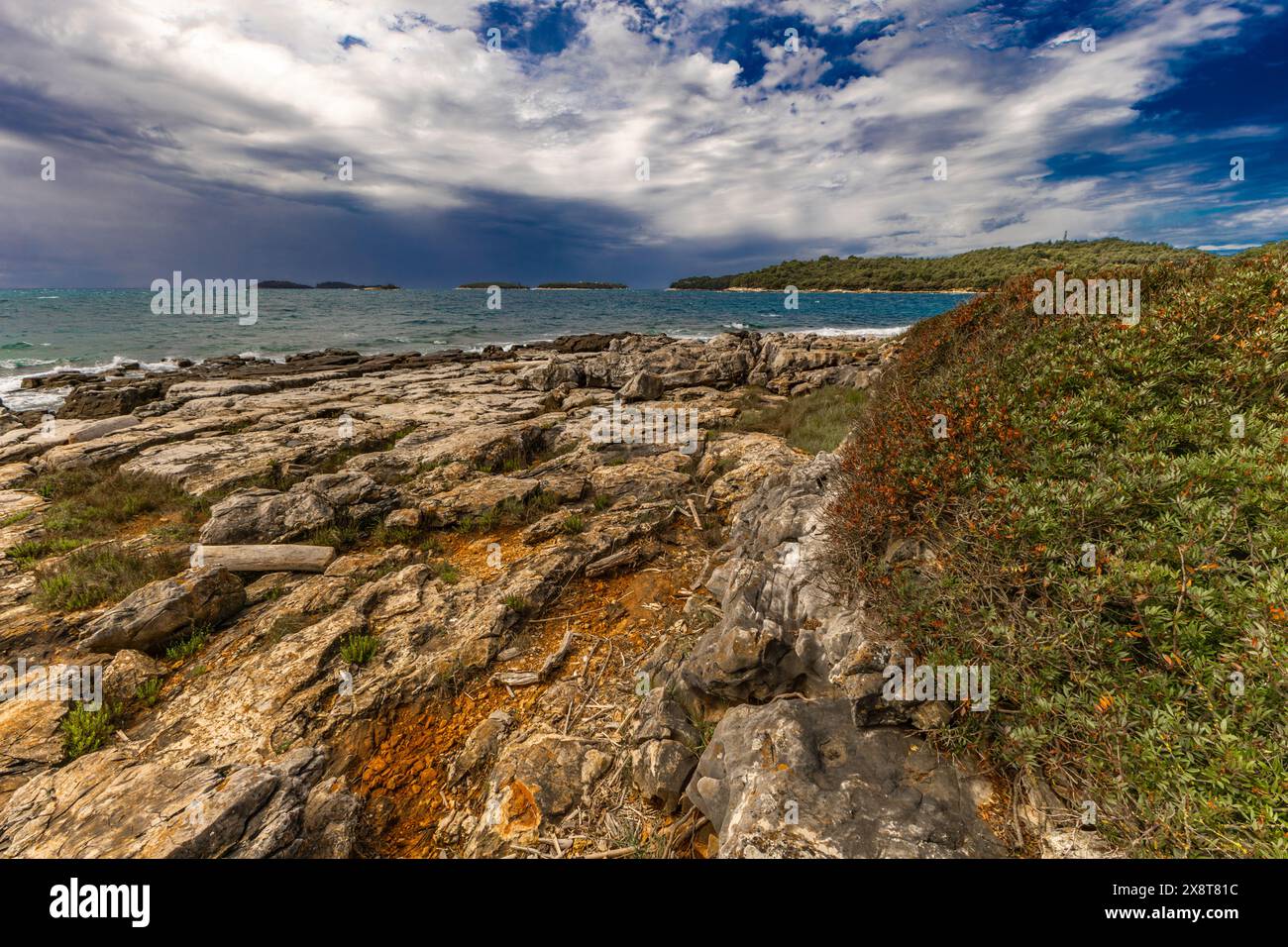 Paysage de la côte croate autour de Rovinj, plages rocheuses, Azur mer Adriatique Istrie Croatie Banque D'Images