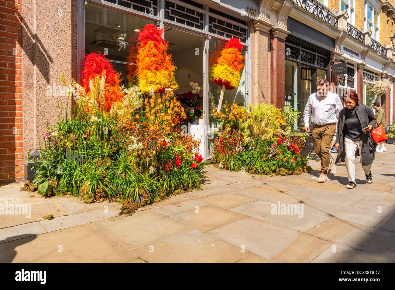 LONDRES, Royaume-Uni - 25 MAI 2024 : des expositions florales spectaculaires pour Chelsea in Bloom exposition annuelle d'art floral transforment les rues de Chelsea Banque D'Images