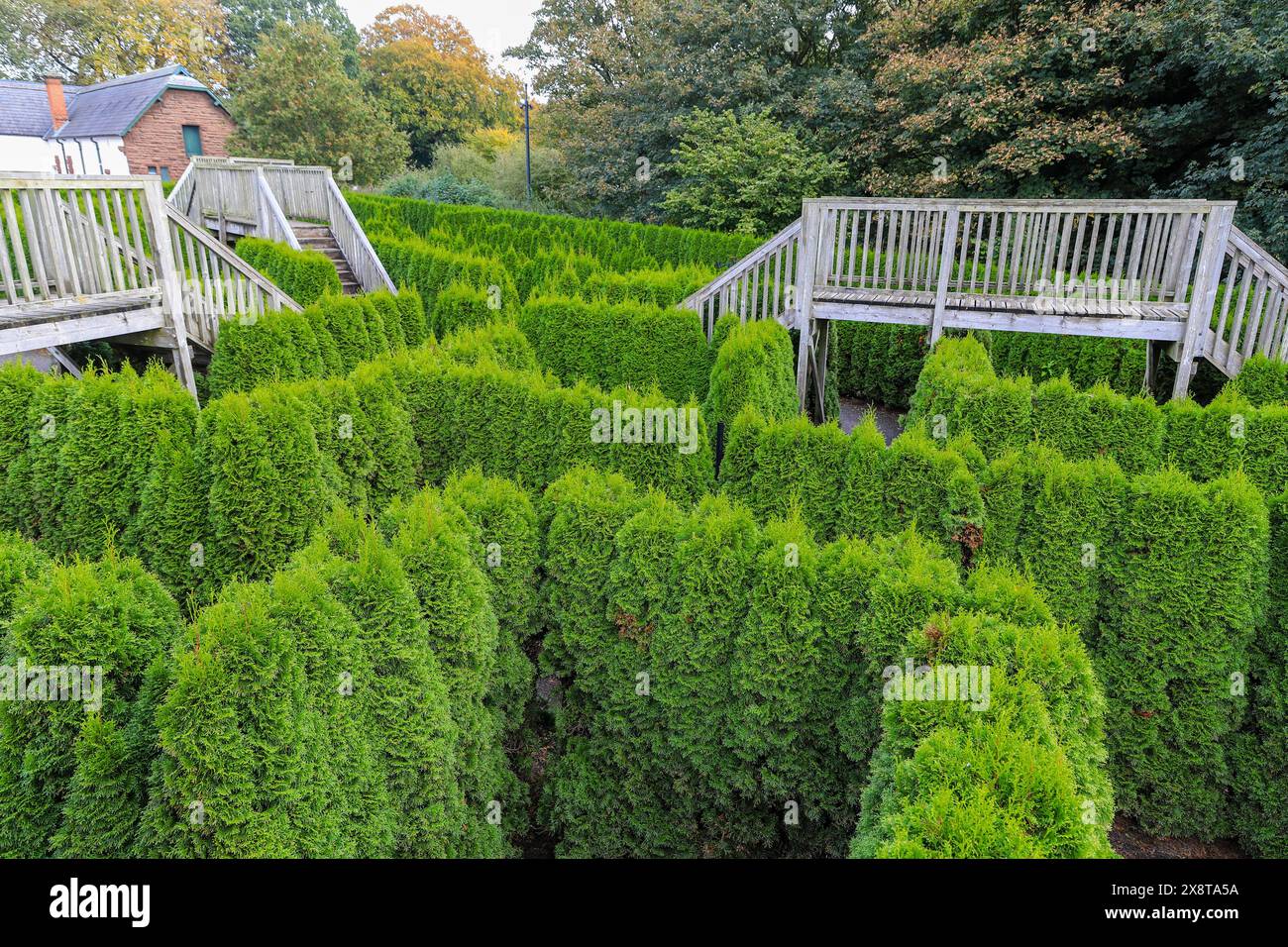Le labyrinthe de Speke Hall, un manoir Tudor à ossature de bois à Speke, Liverpool, Angleterre, Royaume-Uni Banque D'Images