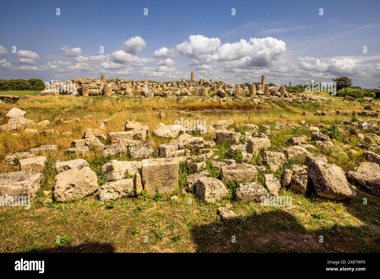 Les ruines des temples grecs à Selinunte, Sicile Banque D'Images