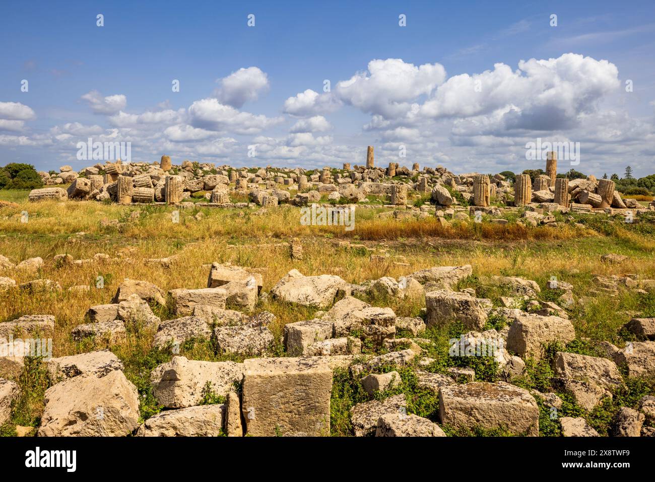 Les ruines des temples grecs à Selinunte, Sicile Banque D'Images